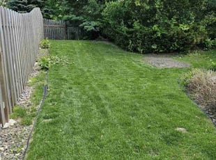 Wayne R.'s grass maintenance service result