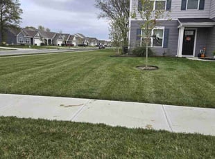 Carlos B.'s lawn maintenance service result