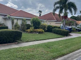 Elizabeth B.'s lawn care service result