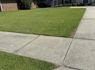 Myia R.'s lawn maintenance service result