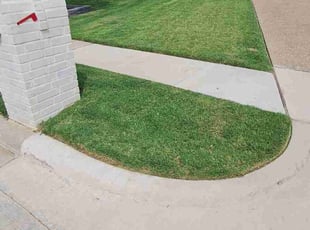 Tarron B.'s grass cutting service result