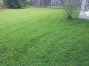 Grace A.'s grass maintenance service result