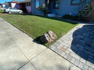 Elizabeth L.'s grass maintenance service result