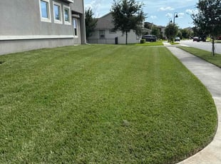 Robert M.'s lawn maintenance service result