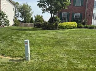 Shalon P.'s grass maintenance service result