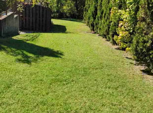 Kim A.'s grass cutting service result
