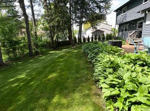 Vin P.'s lawn maintenance service result