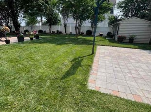 Rameez G.'s lawn care services service result
