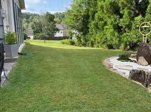 Ashley S.'s yard care service result