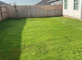 Joni L.'s lawn care service result