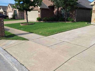 Daniel C.'s lawn care service result