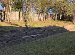 Mahmood M.'s lawn service service result