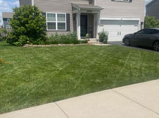 Troy J.'s lawn care service result