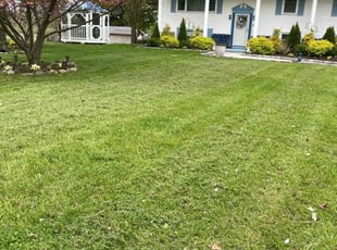 Celestic J.'s yard work service result