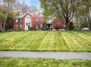 Amanda V.'s grass maintenance service result