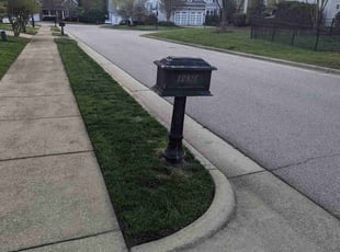Ethan F.'s lawn care service result