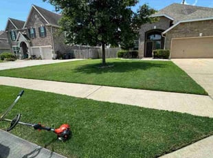 Mary J.'s lawn care service result