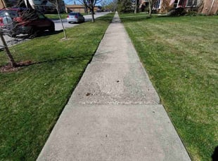 Jacquelyn B.'s grass cutting service result