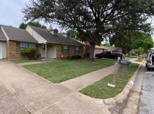 Lauren R.'s turf care service result