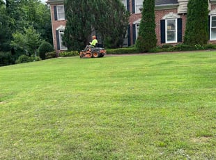 Melissa H.'s lawn care service result