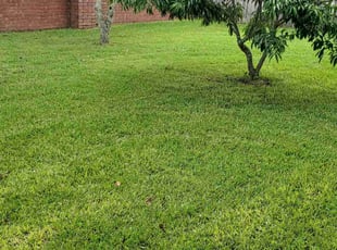 Susan M.'s lawn care services service result