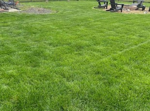 Sharron S.'s grass maintenance service result