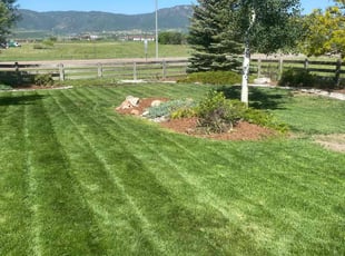 Laura C.'s lawn service service result