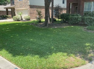 Dustin L.'s lawn care service result