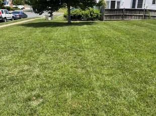 Diane W.'s lawn maintenance service result