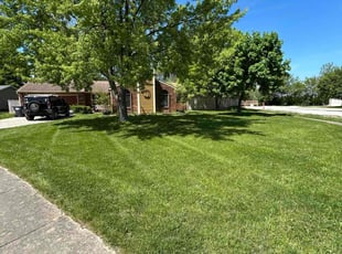 Nancy H.'s lawn service service result