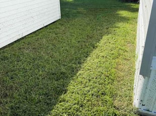 Richard C.'s turf maintenance service result