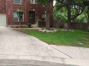 Mary B.'s turf care service result