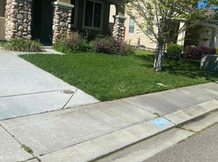 Andrew M.'s turf care service result