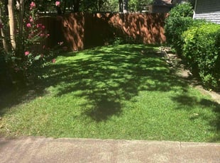 Thomas R.'s lawn care service result