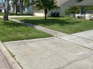 Clarence W.'s turf maintenance service result