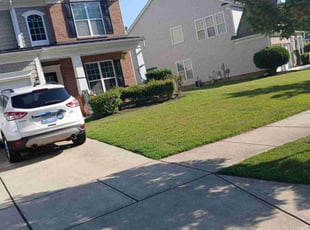 Tara C.'s turf maintenance service result