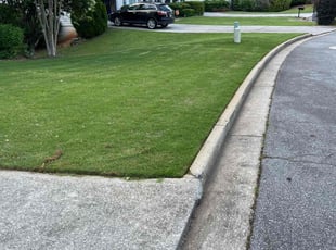 Natalie G.'s turf care service result