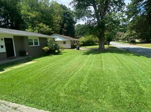 Sandy M.'s grass cutting service result