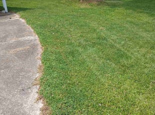 Kenneth K.'s lawn maintenance service result