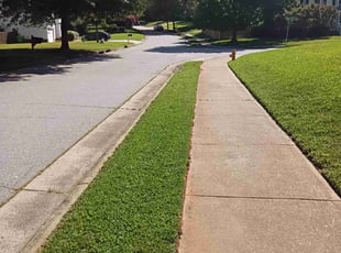 Bobbie B.'s yard care service result