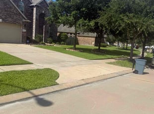 Cody M.'s grass cutting service result