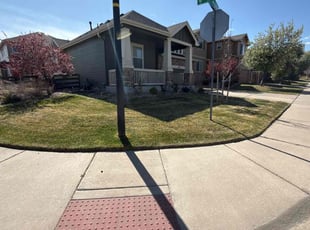 David L.'s turf care service result
