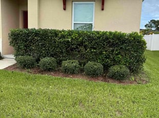 Susan R.'s Bush Trimming service result