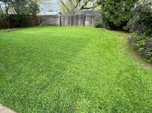 Derek D.'s lawn care services service result