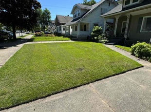 Lauren S.'s turf maintenance service result