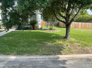 Debbie c.'s turf maintenance service result