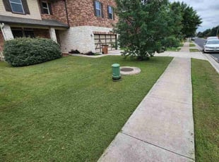 Frederick F.'s grass cutting service result