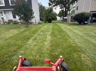 Michelle W.'s lawn maintenance service result
