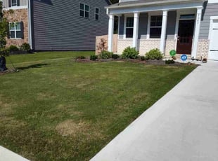 Tamara L.'s turf maintenance service result