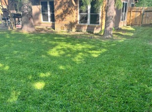 Don S.'s Long Grass Cleanup service result